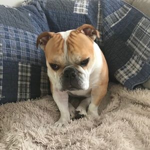 Meet your Posher, Lisa